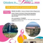 Elezioni – Risultati